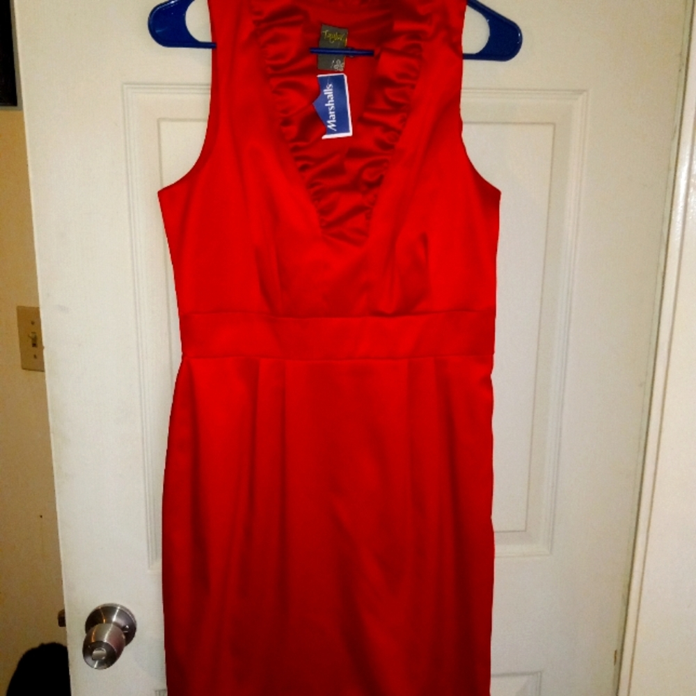 Beautiful Red Taylor's dress